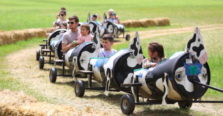 Things to Do in Bergen County Week of July 28