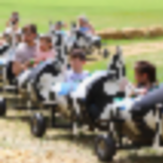 Things to Do in Bergen County Week of July 28