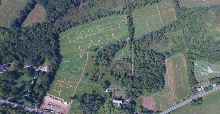 Things to Do in Bergen County Week of August 16