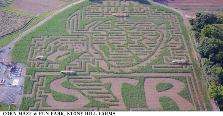 Things to Do in Bergen County Week of September 13