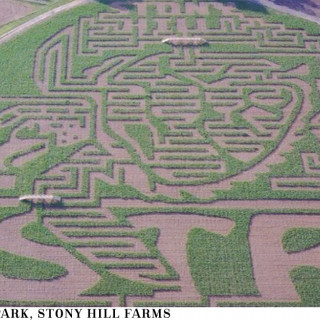 Things to Do in Bergen County Week of September 13