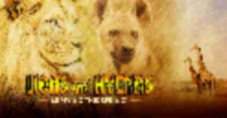 Turtle Back Zoo’s Sunset Safari’s Are The Perfect Date Night