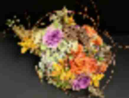 Bergen Events Not To Miss: Week of November 21st