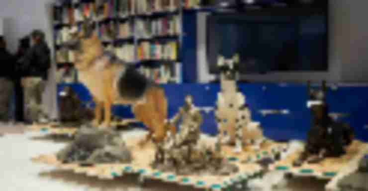 7 Things You Can’t Miss at the New Museum of the Dog