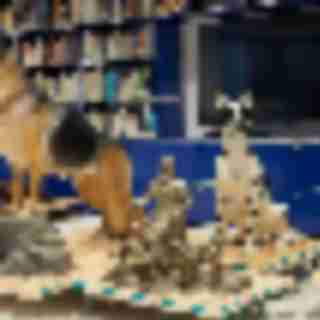 7 Things You Can’t Miss at the New Museum of the Dog