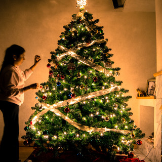 You Can Now Buy Your Christmas Tree on Amazon