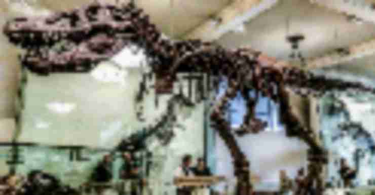 AMNH’s New T. rex Mega Exhibit for the Ultimate Predator is a Must See