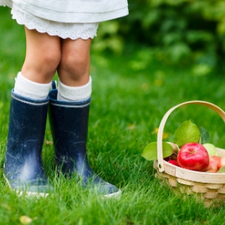 Apple Picking in New Jersey