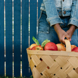 Bergen County Farms Great for Apple Picking