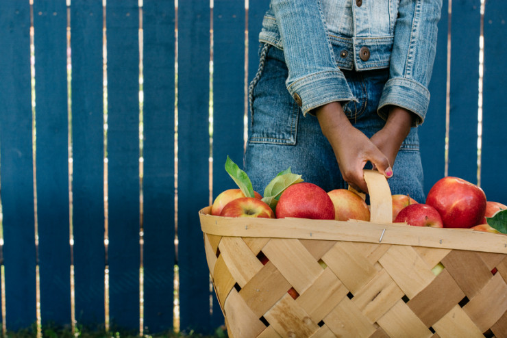 Bergen County Farms Great for Apple Picking