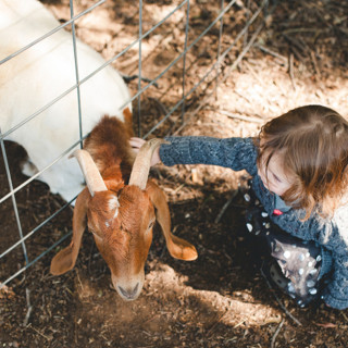 The Bergen County Zoo Expansion is a Game Changer for Families