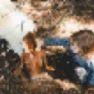 The Bergen County Zoo Expansion is a Game Changer for Families