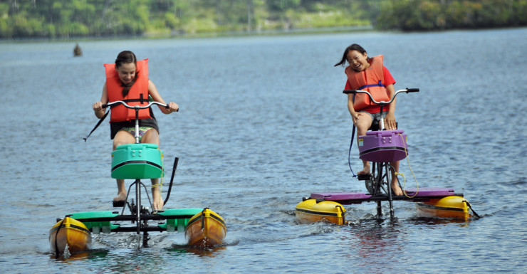 Summer Camp on The Lake: Day Camp In The Park (dedicated)