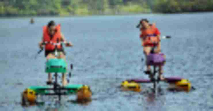 Summer Camp on The Lake: Day Camp In The Park (dedicated)