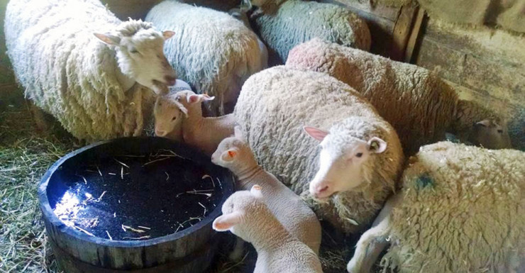 Things to Do in Bergen County Week of April 20