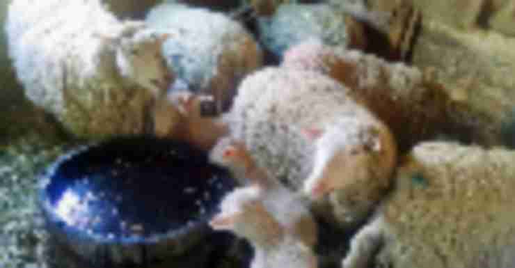 Things to Do in Bergen County Week of April 20