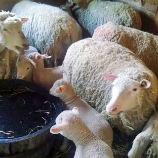 Things to Do in Bergen County Week of April 20