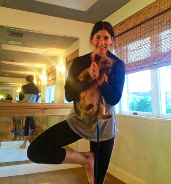 Cool Hot Yoga’s Doggie Yoga Classes