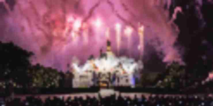 Disney and More: Dream Vacations from Dizlee Travel Group (dedicated)