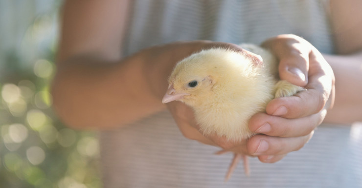 Easter Events Round Up