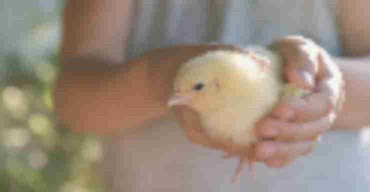 Easter Events Round Up