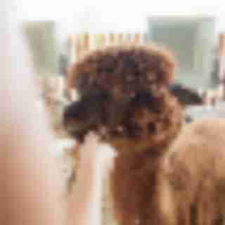 Farm and Nature Summer Camps in Bergen County, New Jersey