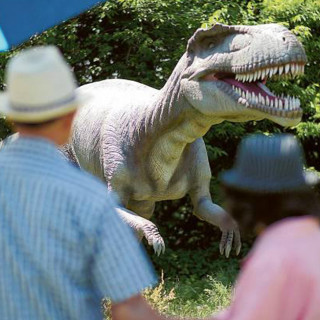 Things to Do in Bergen County Week of May 25