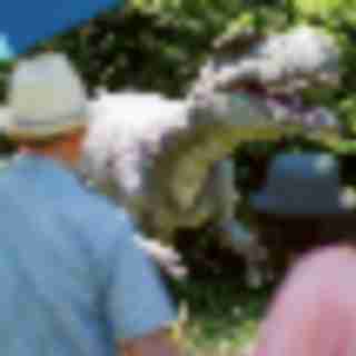 Things to Do in Bergen County Week of May 25