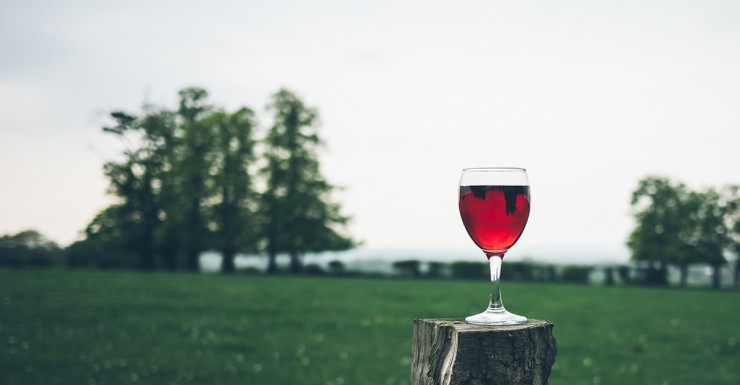 Free Wine for Mom at NJ Vineyards