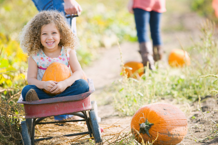 Things to Do in Bergen County Week of October 7