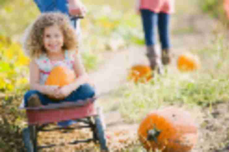 Things to Do in Bergen County Week of October 7