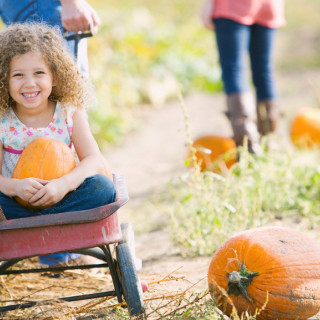 Things to Do in Bergen County Week of October 7