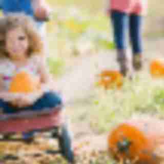 Things to Do in Bergen County Week of October 7