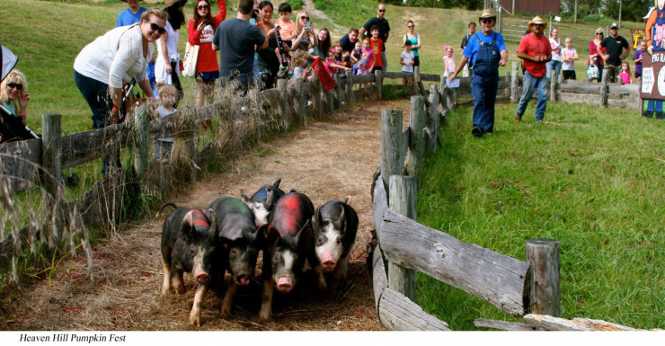 Things to Do in Bergen County Week of September 14