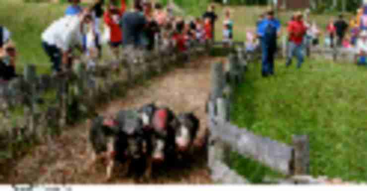 Things to Do in Bergen County Week of September 14