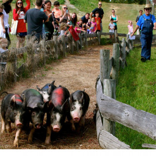 Things to Do in Bergen County Week of September 14