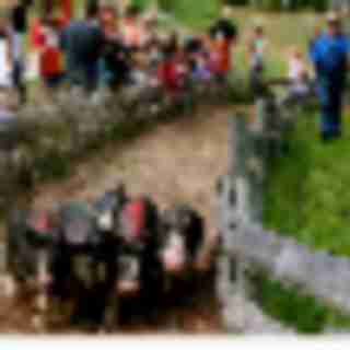 Things to Do in Bergen County Week of September 14