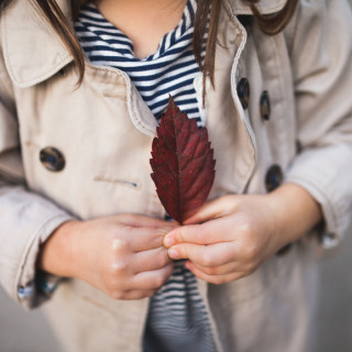 Things to Do in Bergen County Week of November 4