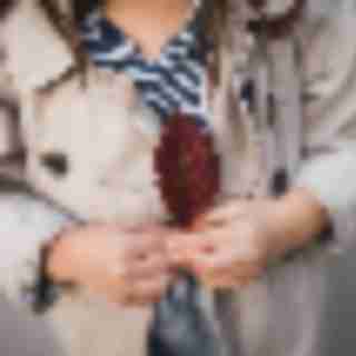 Things to Do in Bergen County Week of November 4