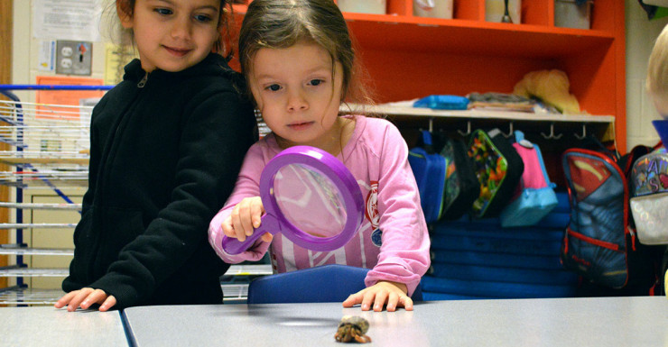 How To Find the Right Nursery School in Bergen County NJ  (dedicated)