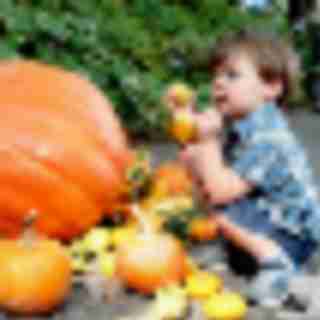 Pumpkin Picking and Harvest Fests in New Jersey, Bergen County