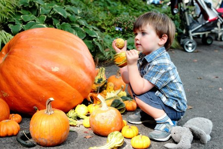 Pumpkin Picking and Harvest Fests in New Jersey, Bergen County