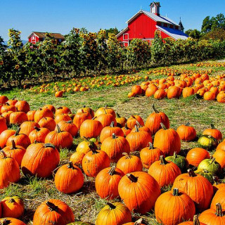 Things to do in Bergen County: Week of October 2nd