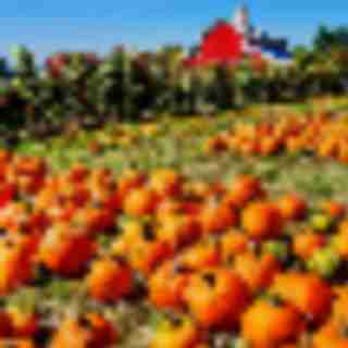 Things to do in Bergen County: Week of October 2nd