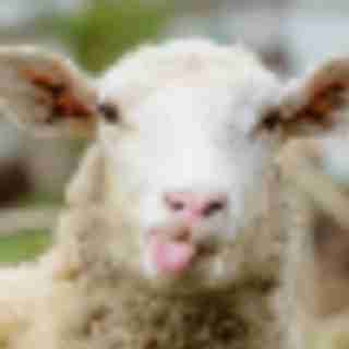 Things to Do in Bergen County Week of May 4