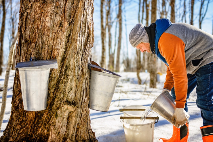 Things to Do in Bergen County Week of January 14