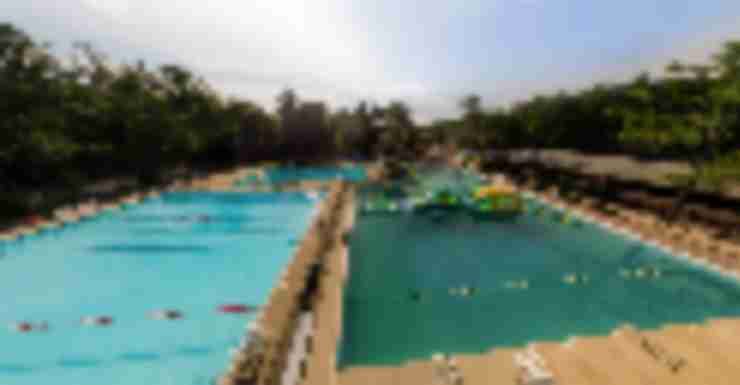 Spring Lake Day Camp: Home of the Happiest Campers (dedicated)