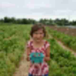 Berry Picking Farms in Bergen County, New Jersey