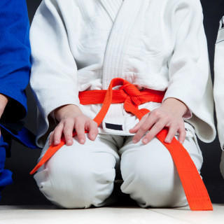 Tae Kwon Do, Karate and Other Martial Arts Classes