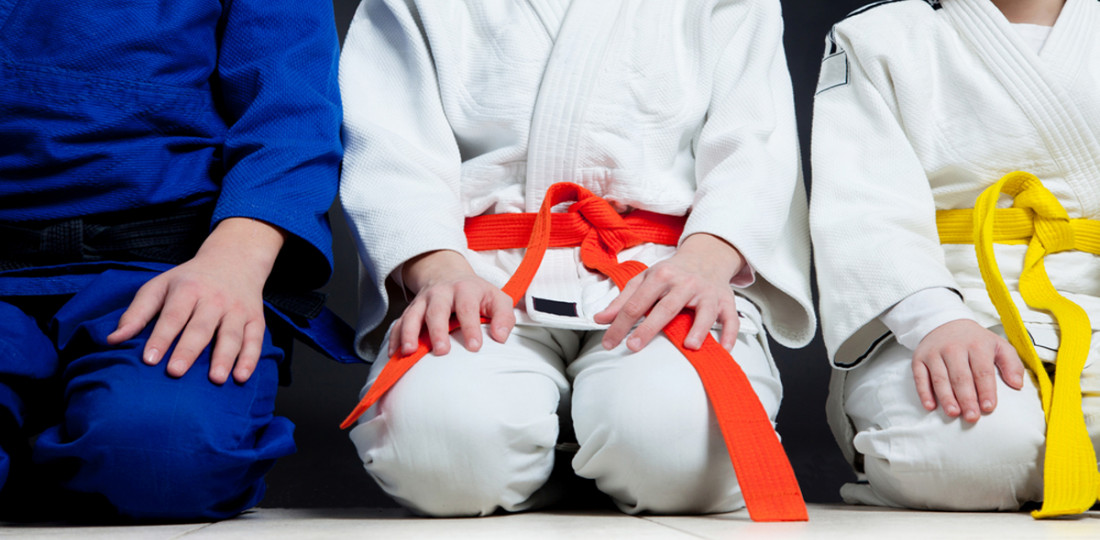 Tae Kwon Do, Karate and Other Martial Arts Classes